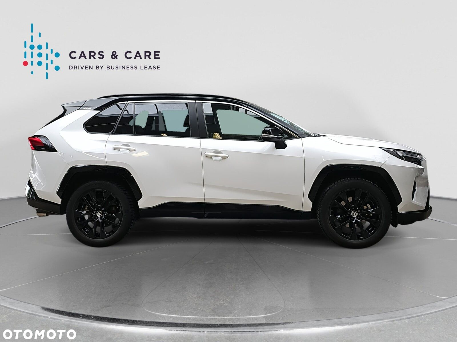 Toyota RAV4 2.5 Hybrid Selection 4x4 - 9