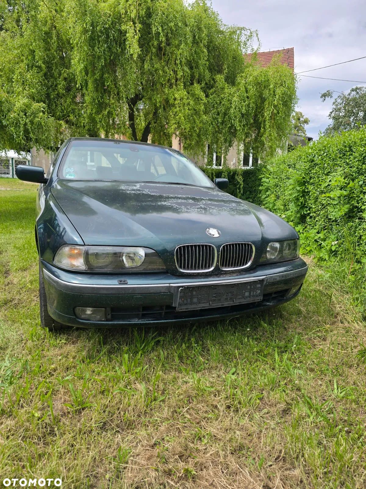 BMW Seria 5 - 1