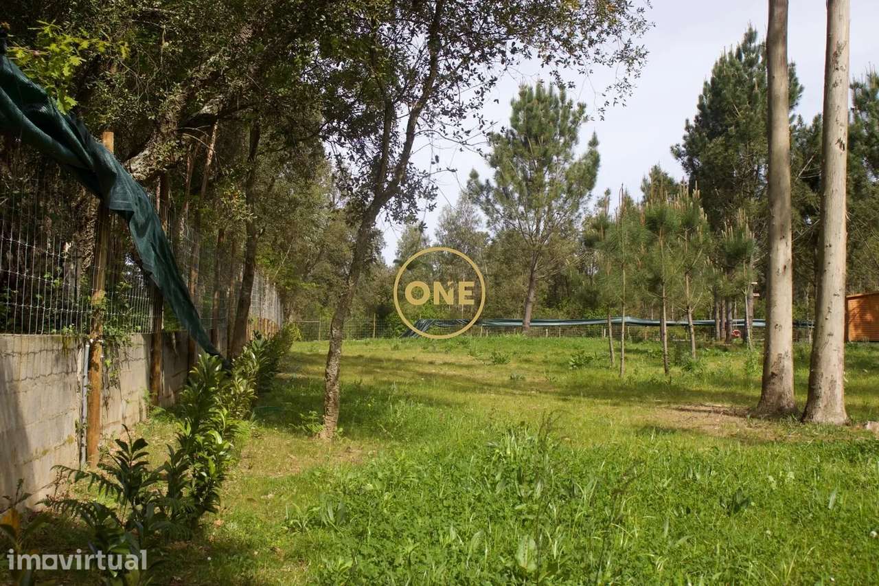 Terreno São Félix da Marinha – 4.100 m² - Grande imagem: 4/9