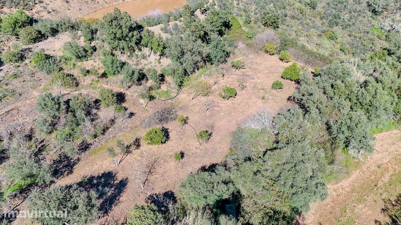 Terreno Rústico de 2.5Ha com Barragem - Grande imagem: 5/28