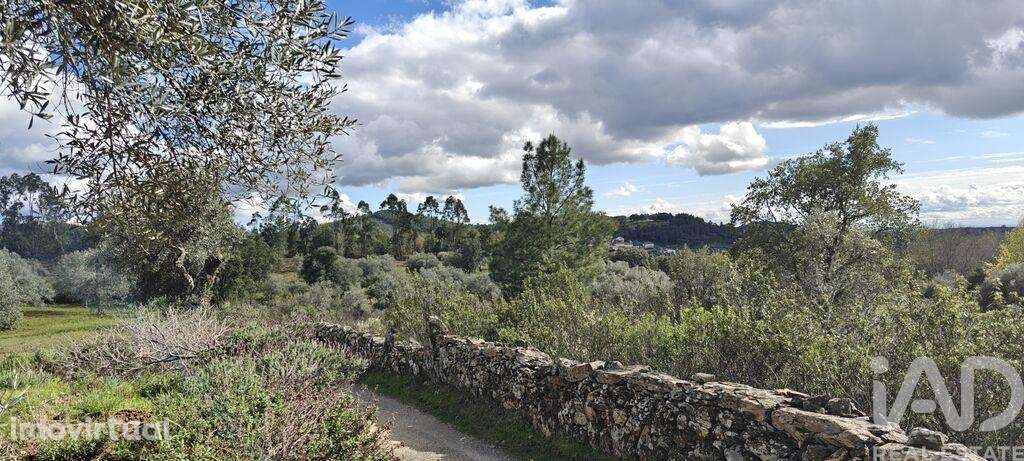 Terreno em Aranhas - Grande imagem: 3/3