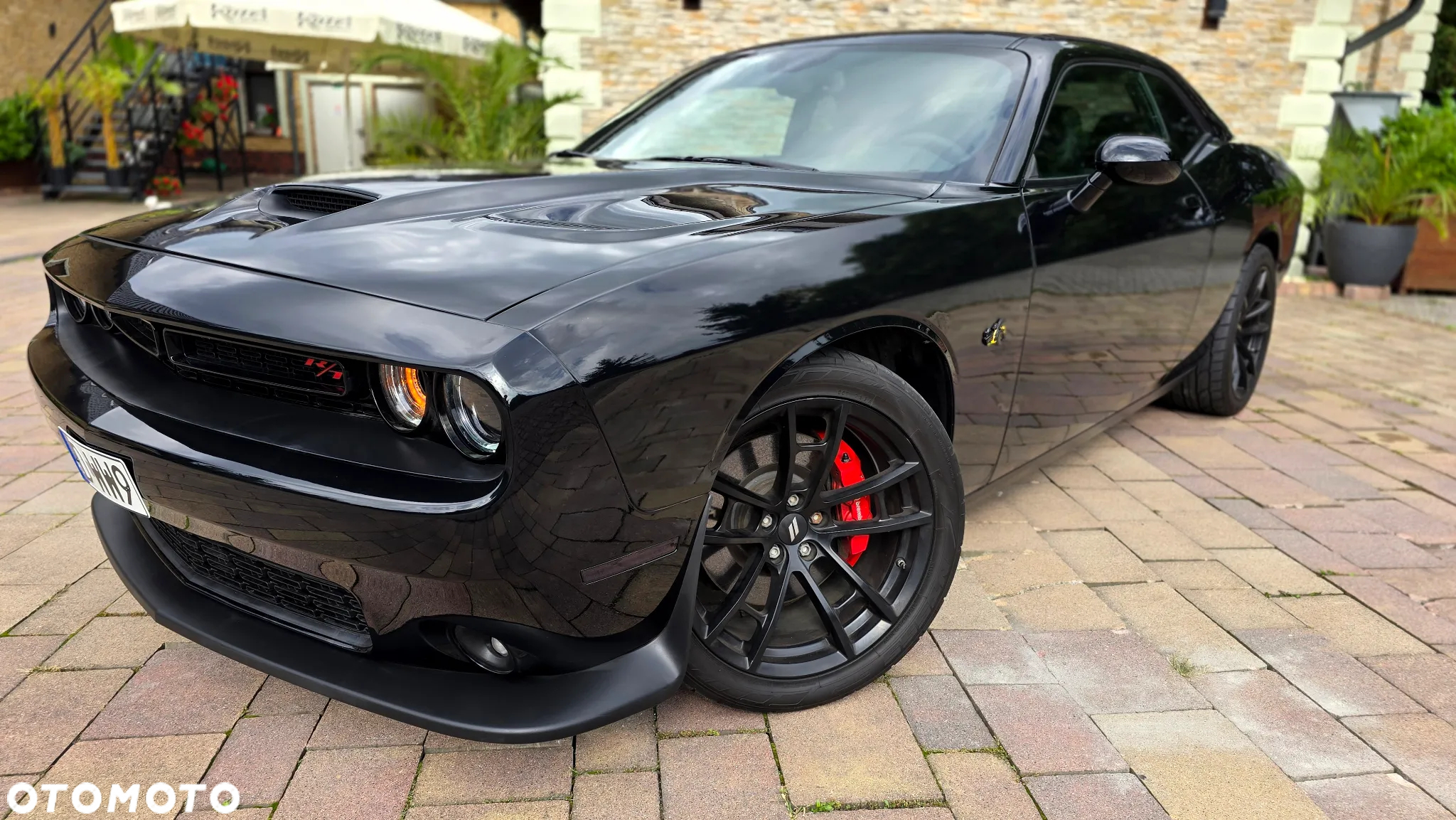 Dodge Challenger 6.4 Scat Pack - 4