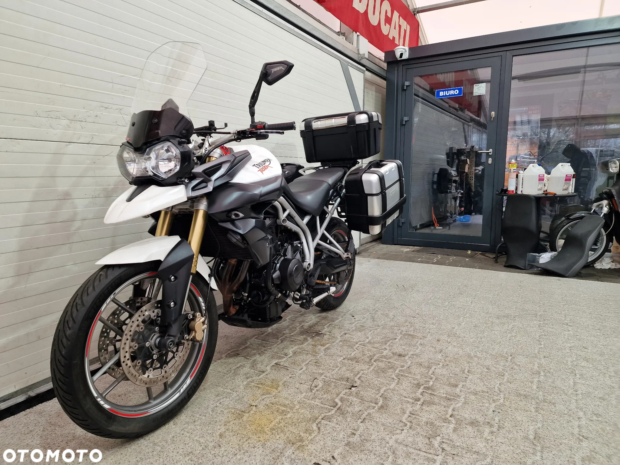 Triumph Tiger - 2