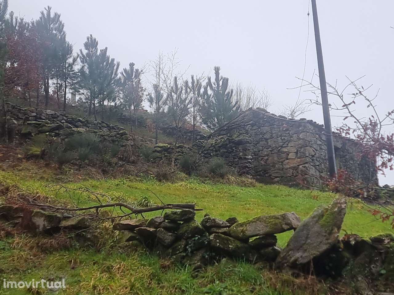 Moradia para restauro - Grande imagem: 3/8