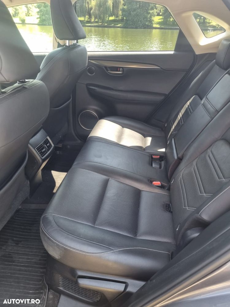 Lexus Seria NX 300h AWD Executive Plus - 3