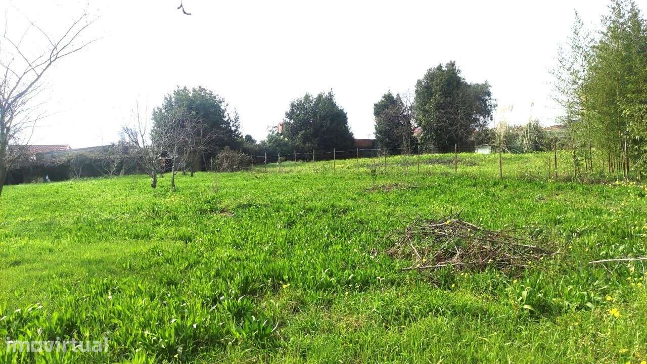 Terreno em S. João da Madeira - Grande imagem: 3/15