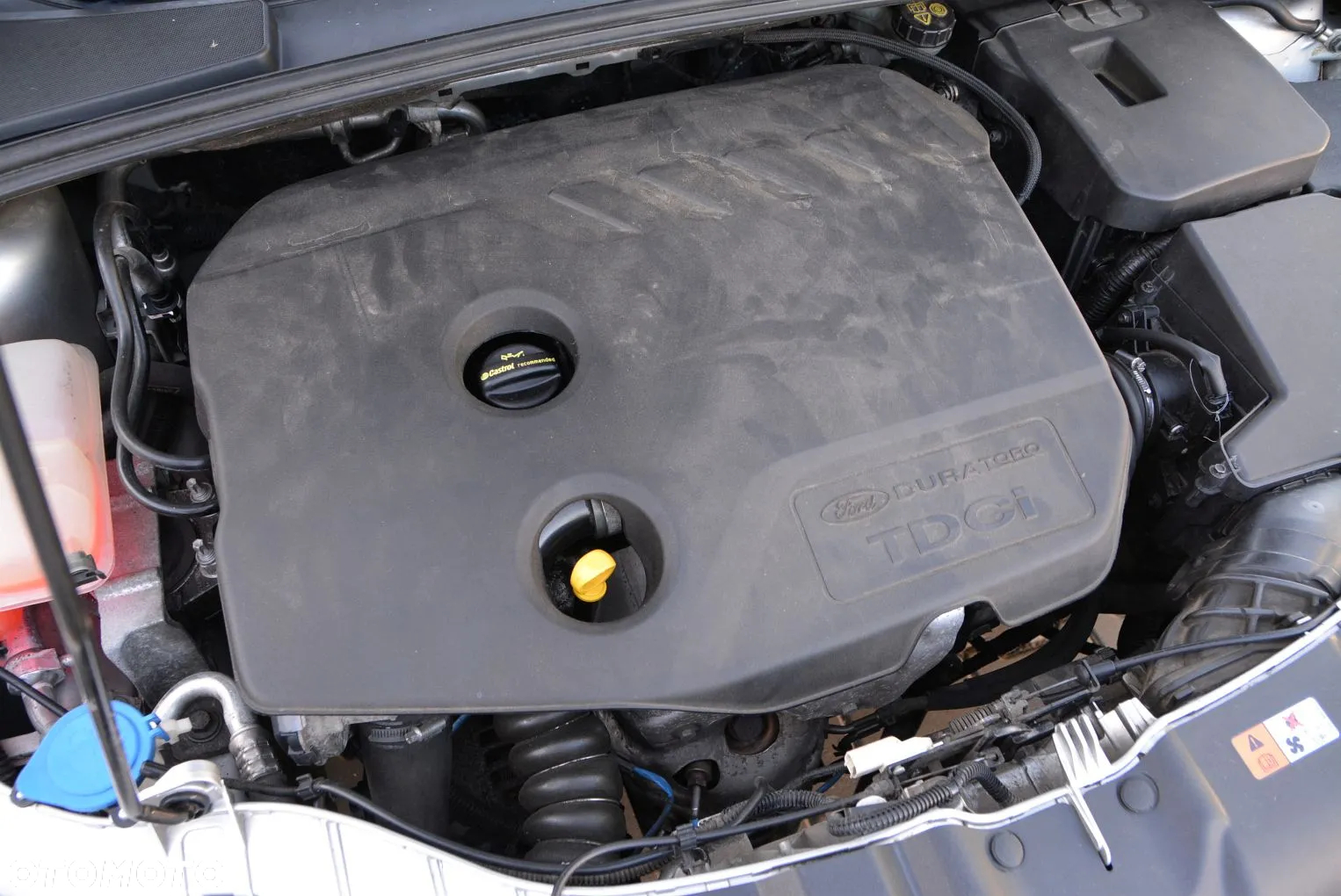 Ford Focus - 27