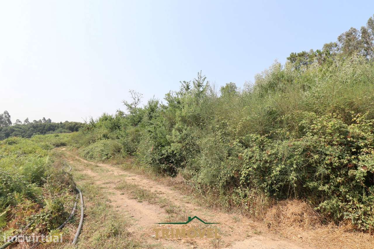 Terreno Para Construção  Venda em Vila de Cucujães,Oliveira de Azeméis - Grande imagem: 2/9