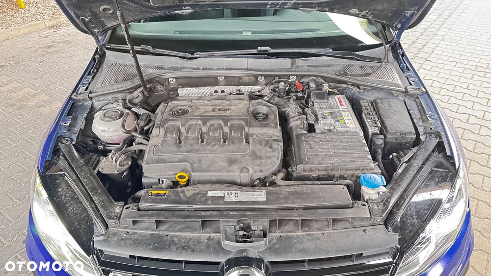 Volkswagen Golf - 19