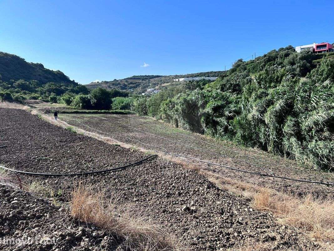 Terreno  para venda - Grande imagem: 4/9