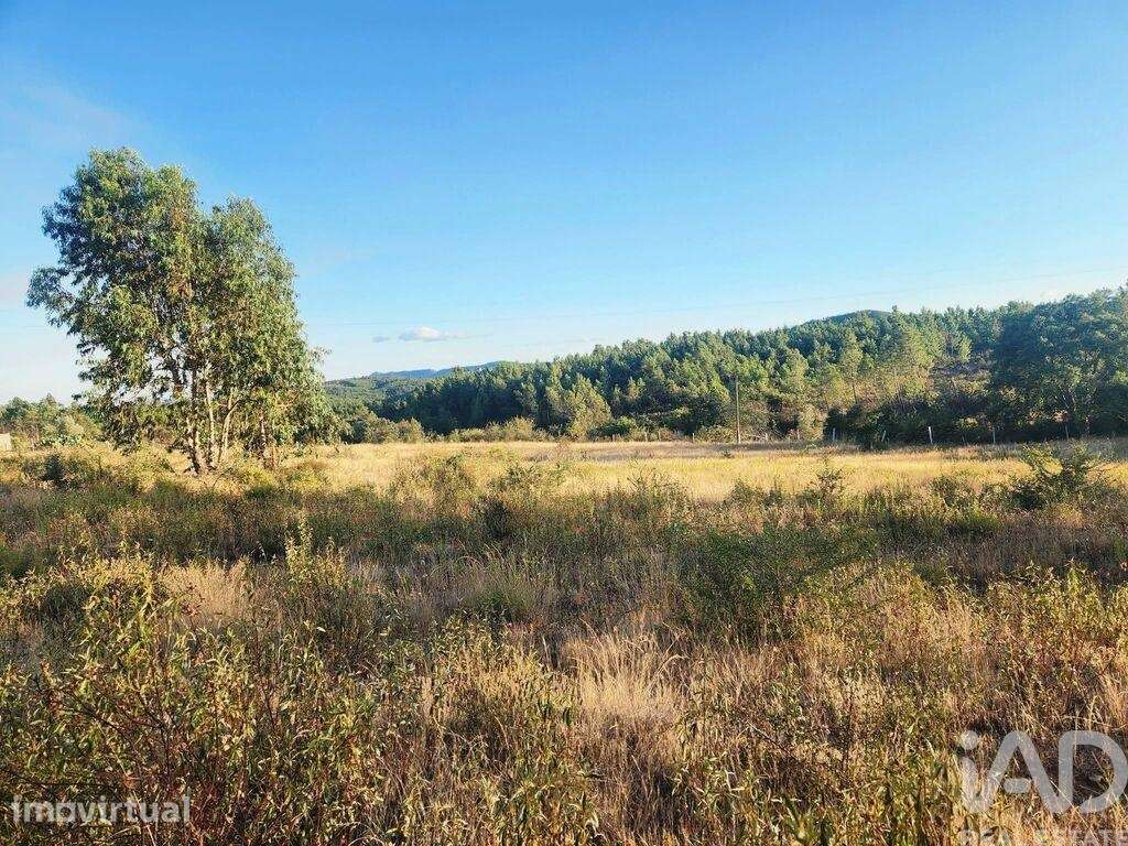 Terreno Agrícola em Sarzedas - Grande imagem: 5/17