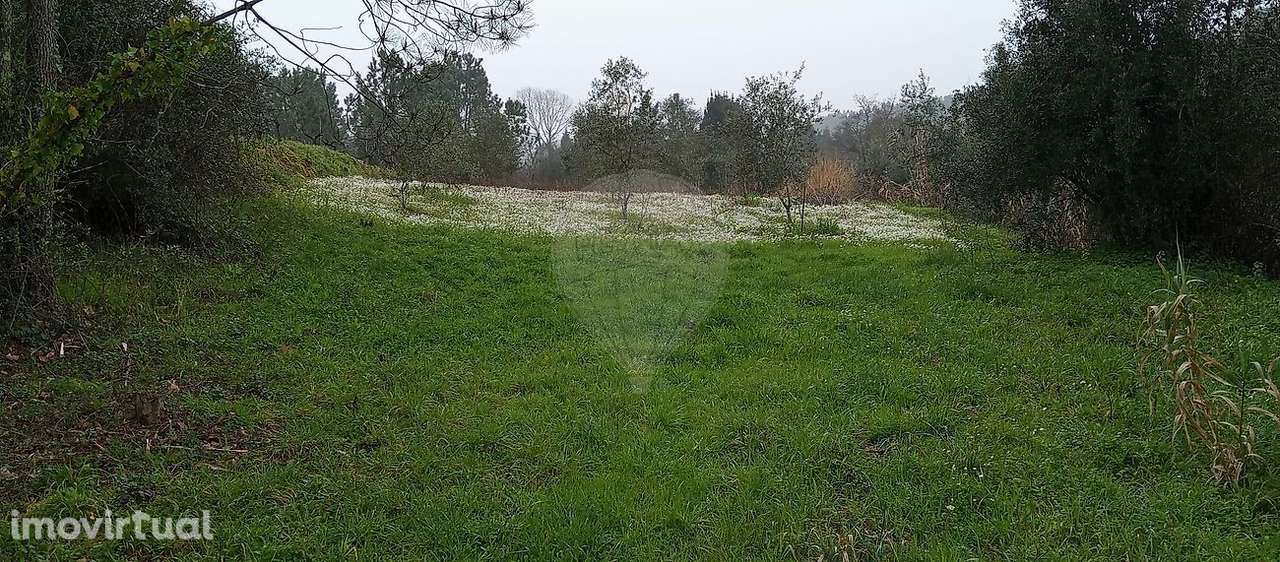 Terreno  para venda - Grande imagem: 3/4