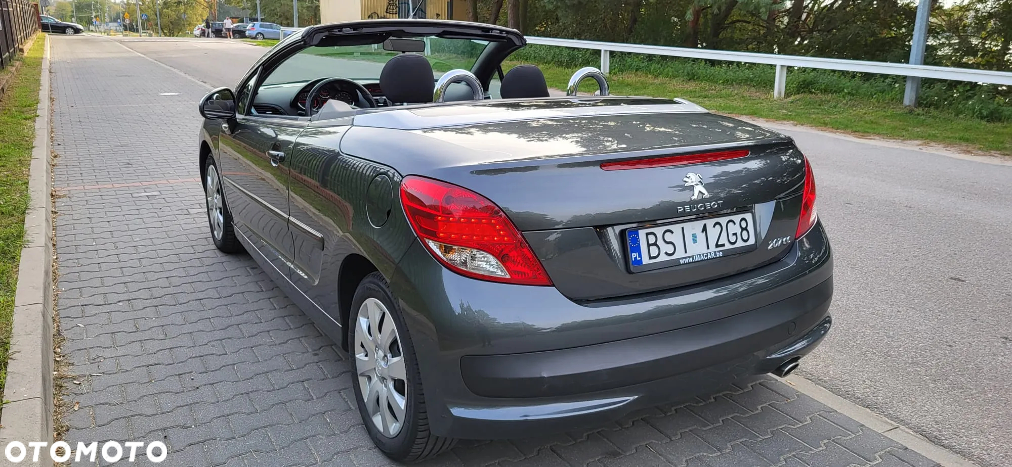 Peugeot 207 - 8