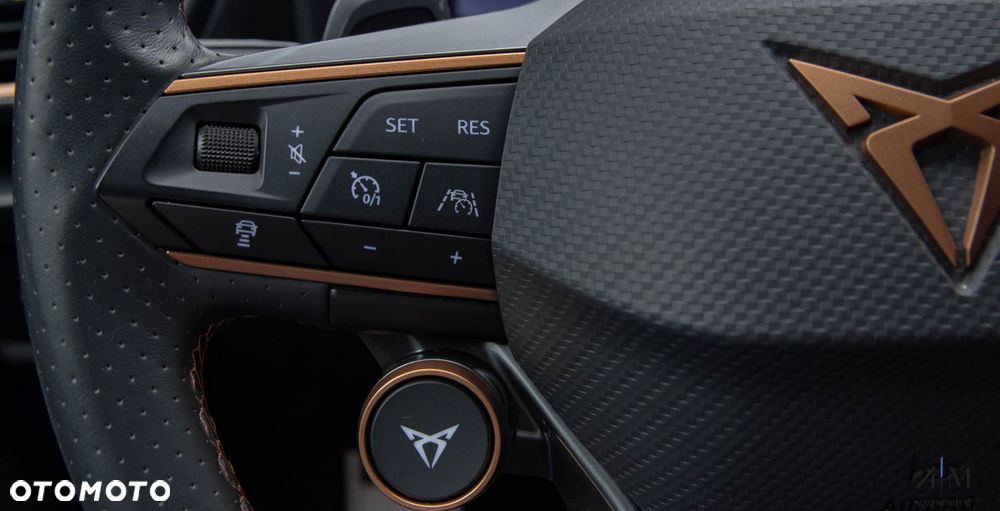 Cupra Formentor VZ 2.0 TSI 4Drive DSG - 15