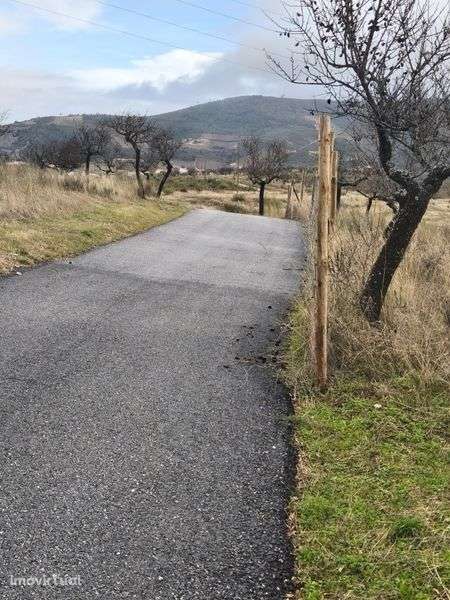 Terreno rústico em sequeiros - Grande imagem: 3/8