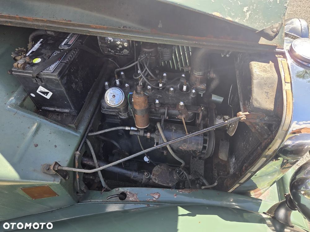 Jaguar Inny - 13