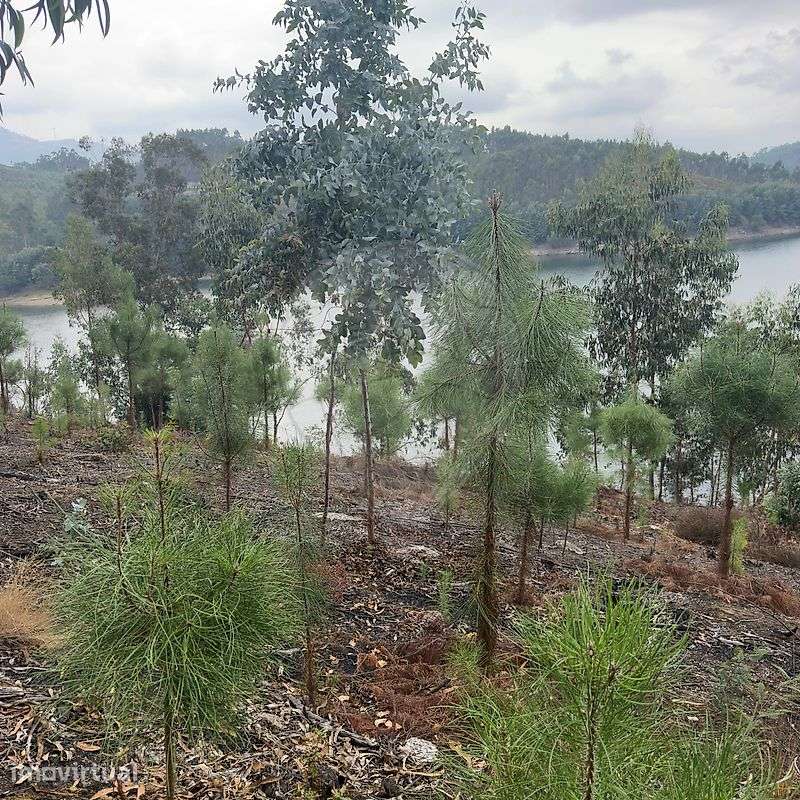 Terreno  para venda - Grande imagem: 4/8