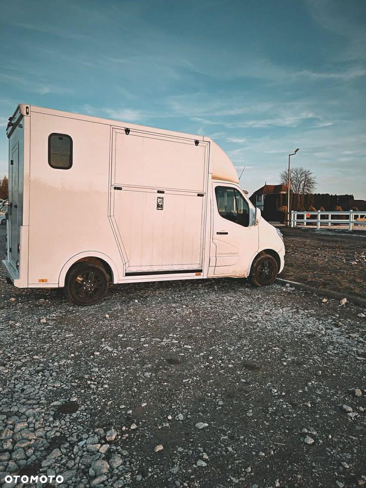 Renault Master Koniowóz na 2 konie - 3