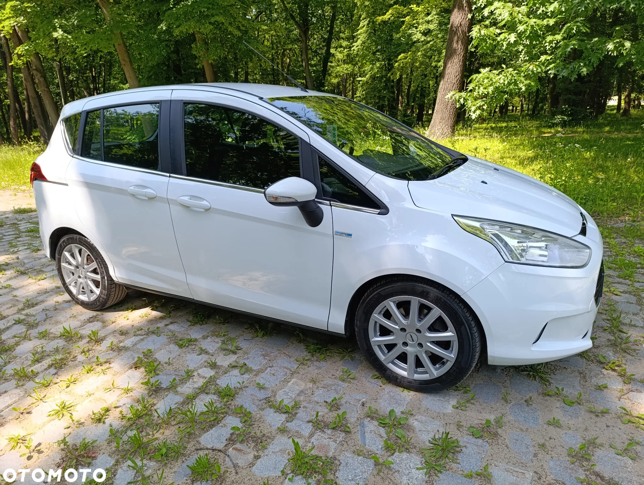 Ford B-MAX 1.0 EcoBoost SYNC Edition - 7