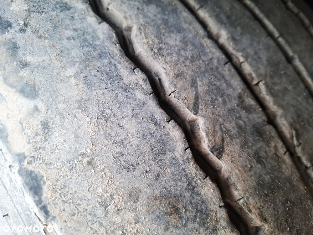 Schmitz Cargobull SKO24 Carrier VECTOR 1550 - 10