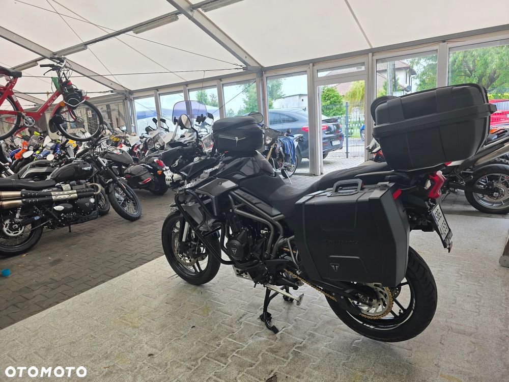 Triumph Tiger - 24