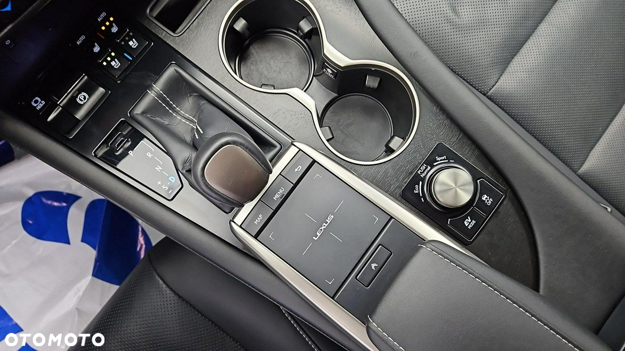 Lexus RX 450h F-Impression - 18