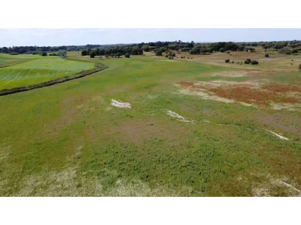 TERRENO DE 22,45 HA COM RUÍNA DE 240 M² PARA RECUPERAÇÃO EM FERREIR... - Grande imagem: 5/25