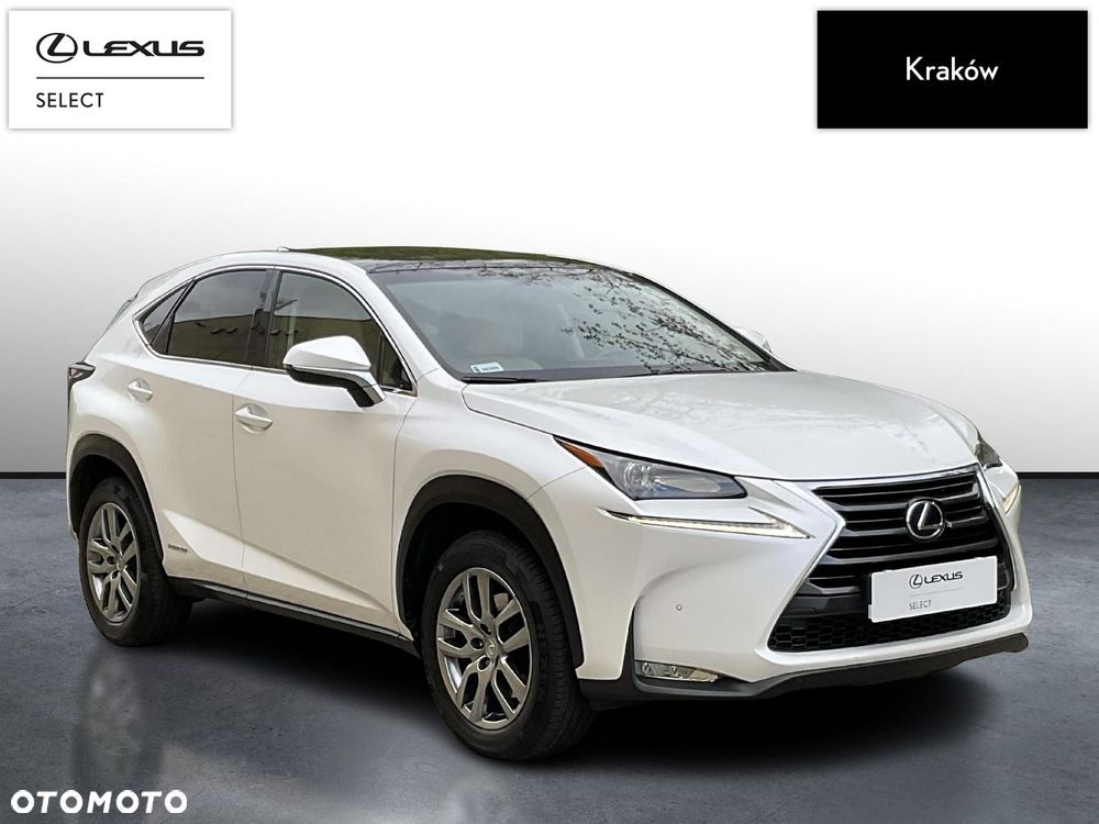 Lexus NX 300h Comfort AWD - 7