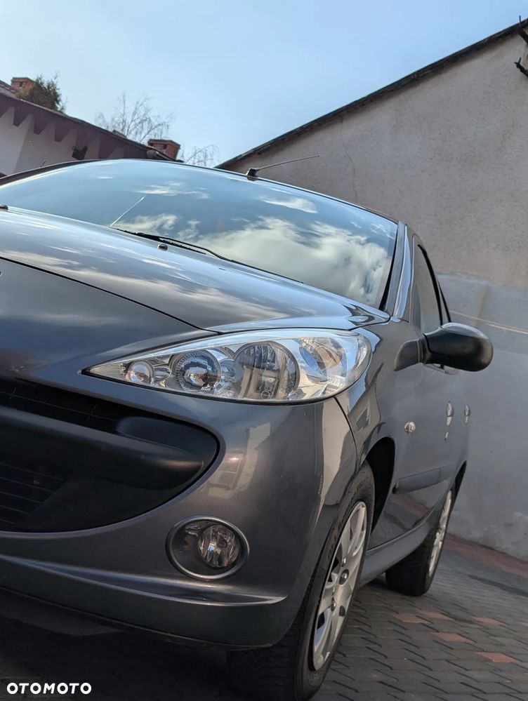 Peugeot 206 plus - 33