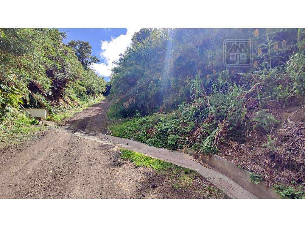 VENDA de AMPLO TERRENO RÚSTICO - Ajuda da Bretanha, Ponta Delgada, ... - Grande imagem: 5/25