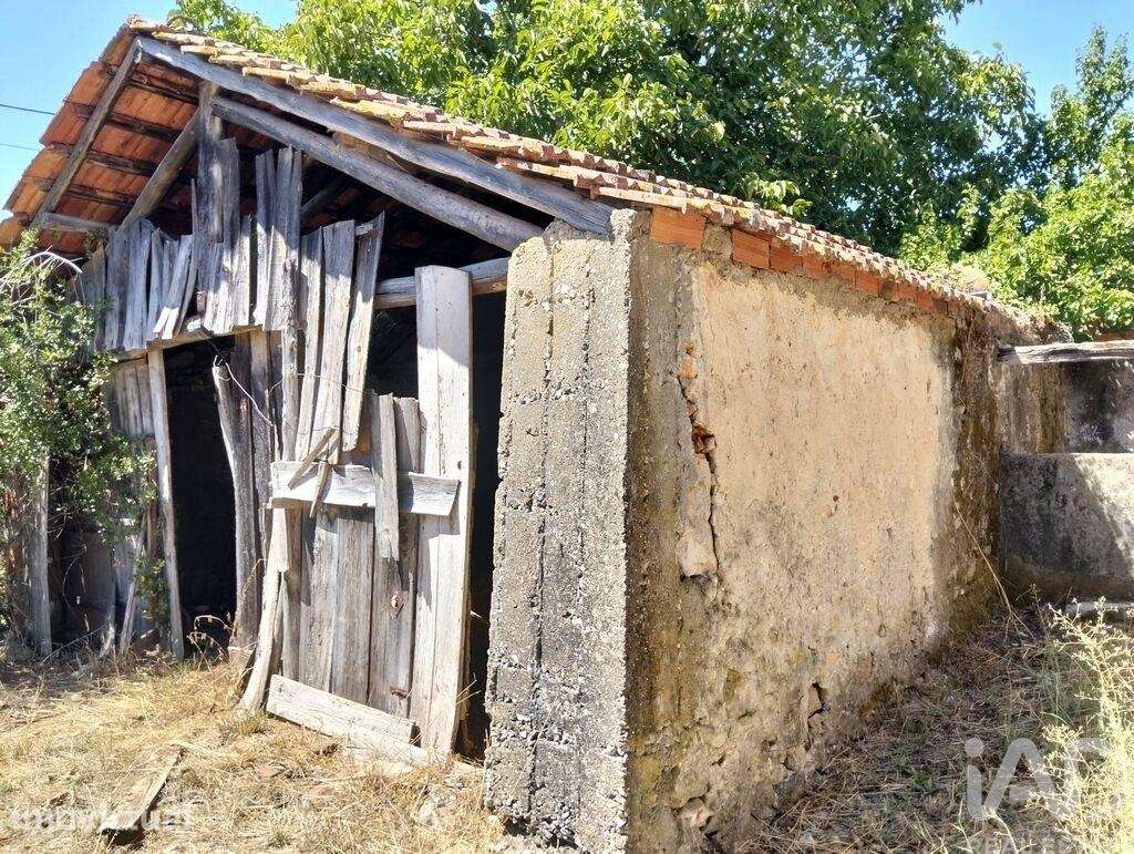 Casa de Campo em Brogueira, Parceiros de Igreja e Alcorochel - Grande imagem: 5/31