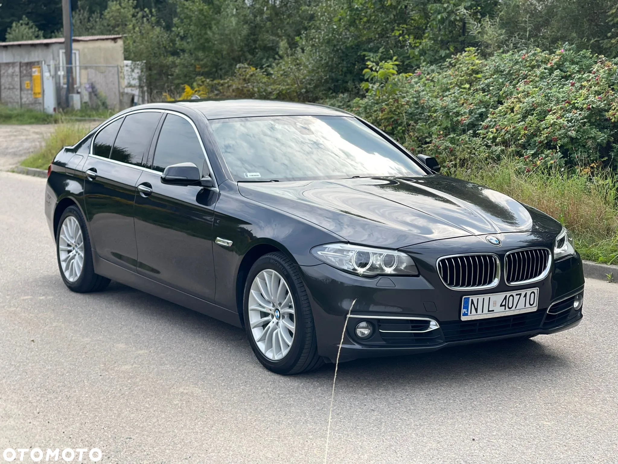 BMW Seria 5 525d xDrive Luxury Line - 3