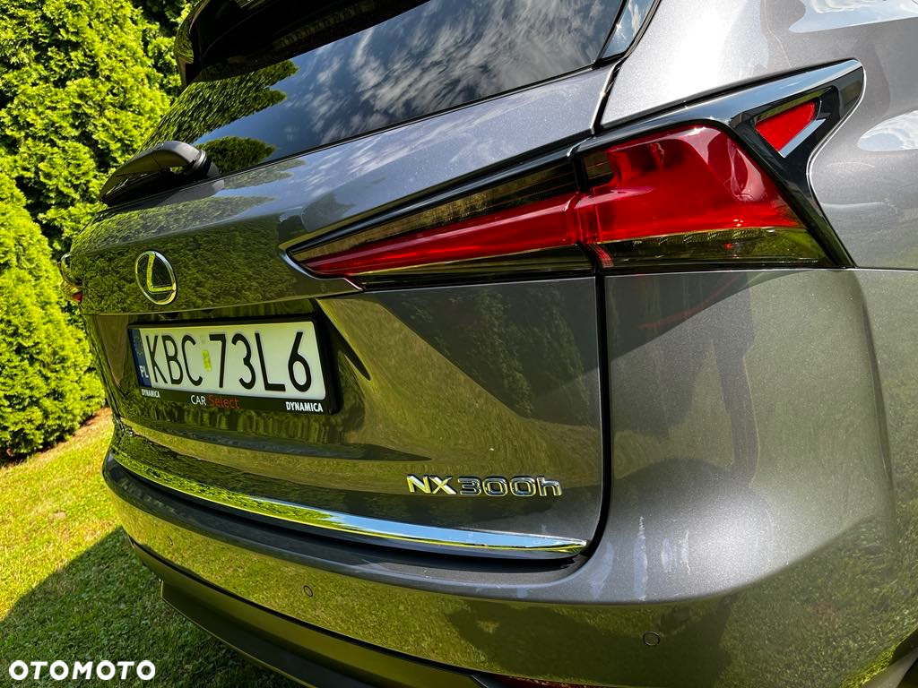 Lexus NX 300 Elegance AWD - 37
