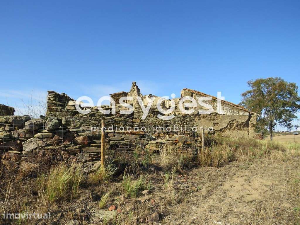 Monte em ruinas com 14 hectares em Entradas concelho Castro Verde - Grande imagem: 5/34