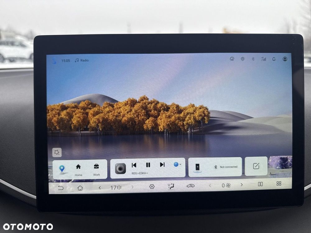 BYD Dolphin Surf - 18