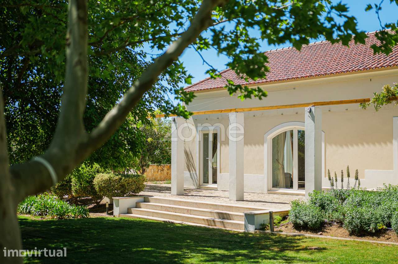 Herdade da Rusga - Grande imagem: 5/60