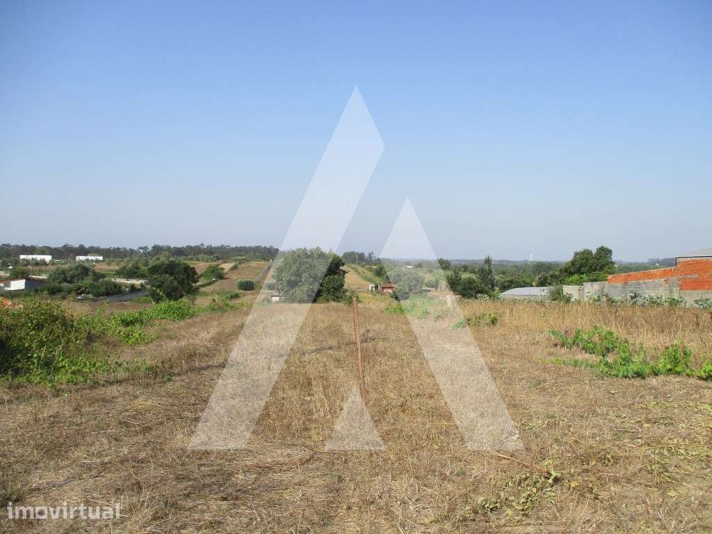 Terreno em Fermentelos - Grande imagem: 2/6