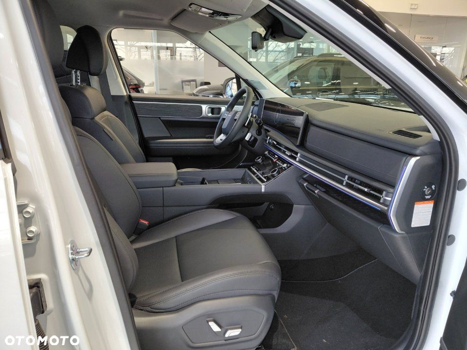 Hyundai Santa Fe - 7