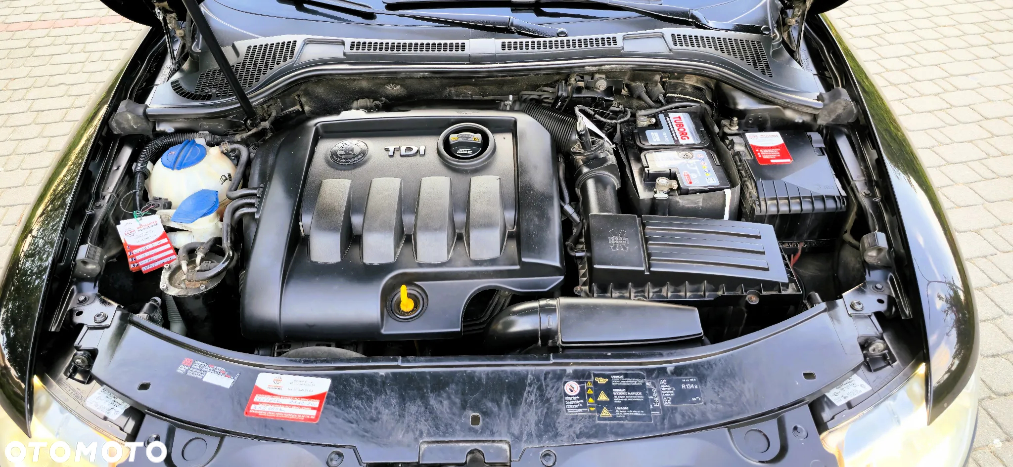 Skoda Superb 1.9 TDI Greenline - 12