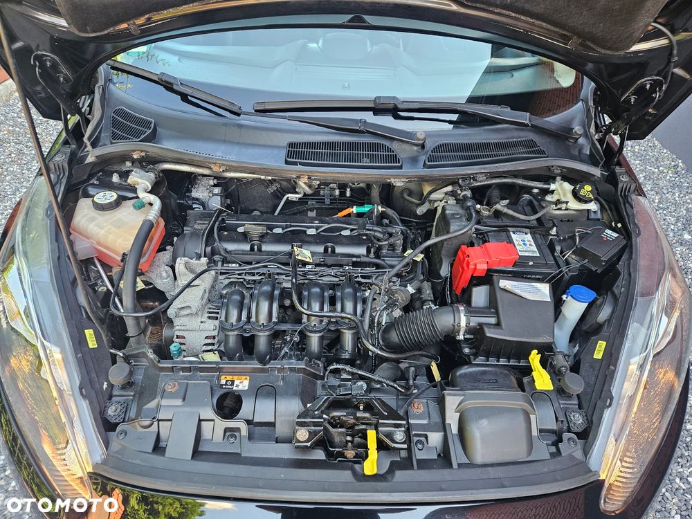 Ford Fiesta - 16