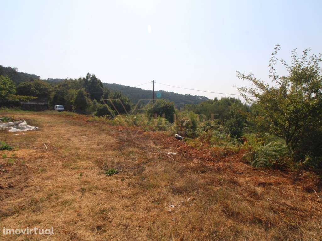 Terreno - Grande imagem: 4/7