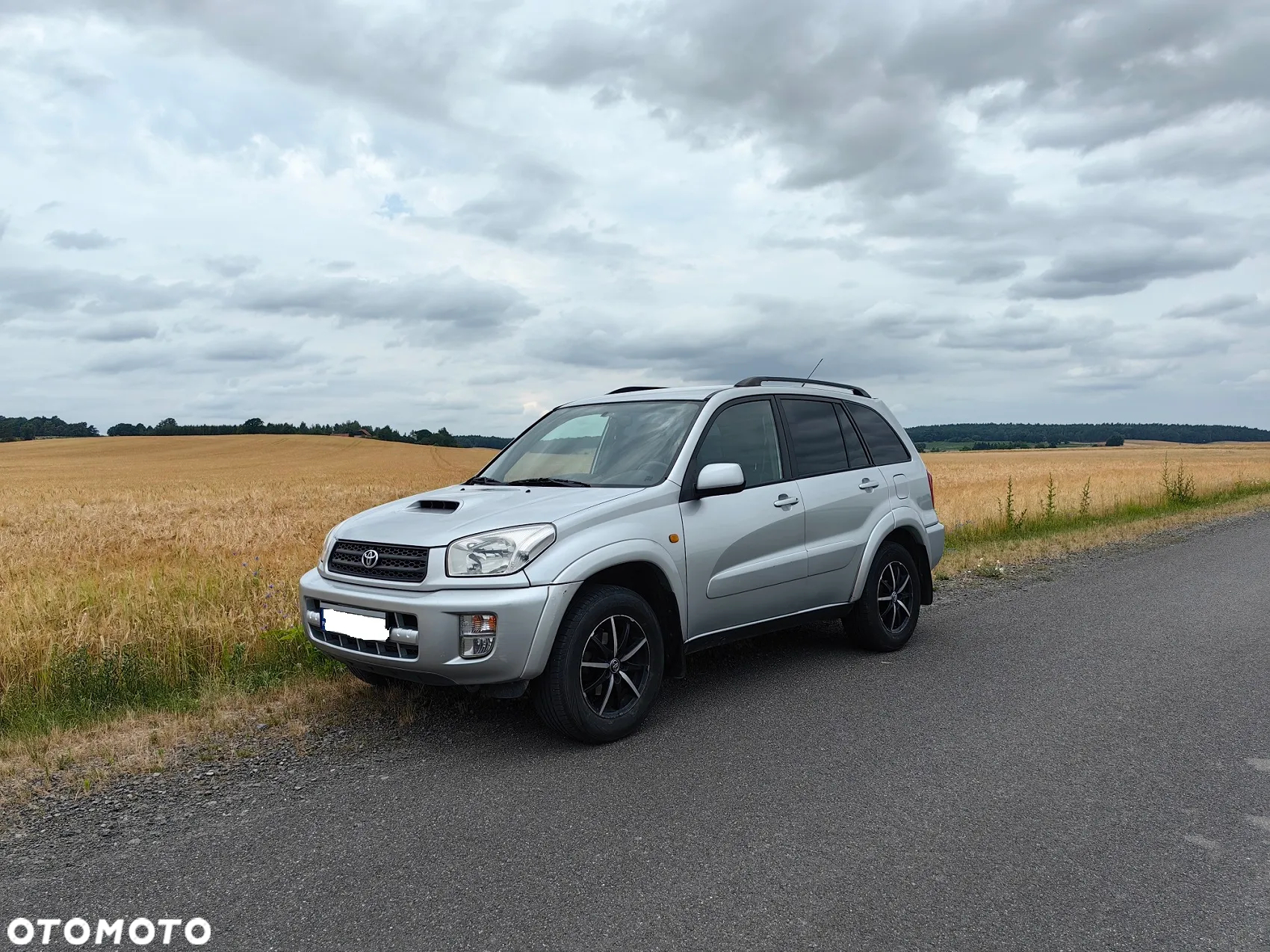 Toyota RAV4 2.0 D-4D 4x4 - 2