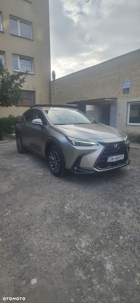 Lexus NX 450h+ Prestige AWD - 1