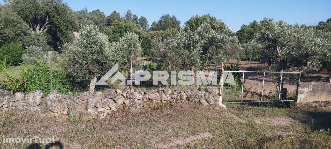 Quintinha  Póvoa Rio de Moinhos - Grande imagem: 2/11