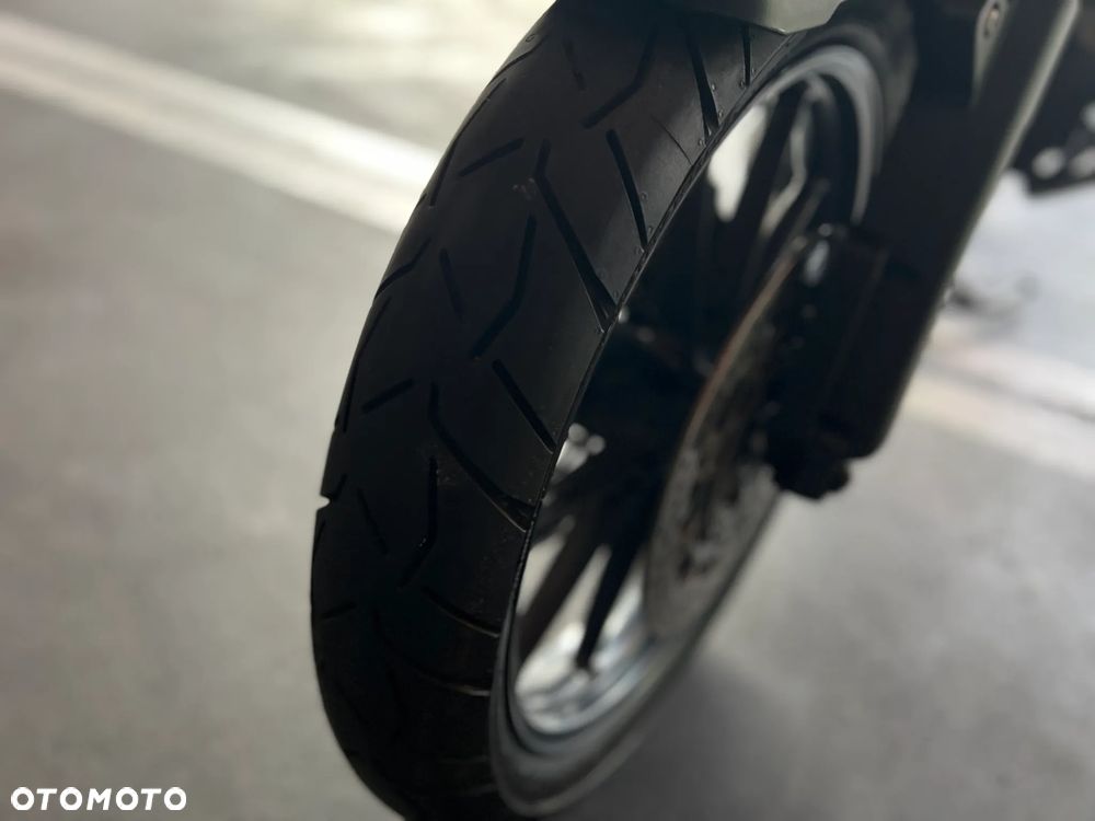 Triumph Tiger - 22