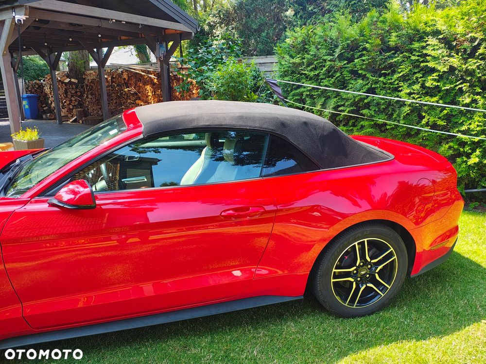 Ford Mustang - 19