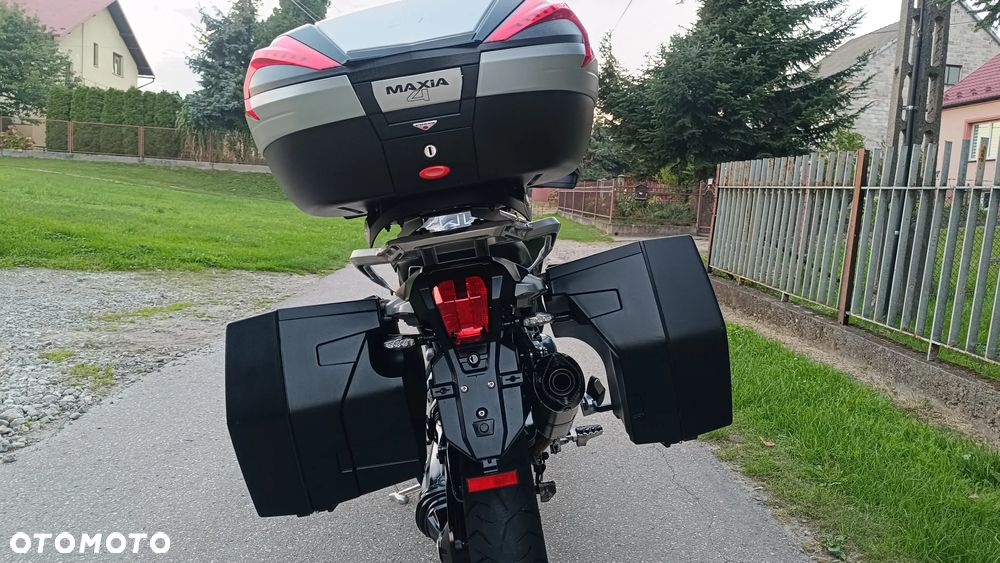 Triumph Tiger - 19