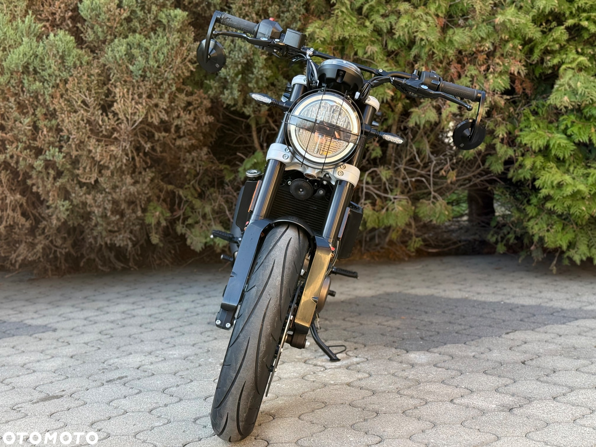 Husqvarna Svartpilen - 8