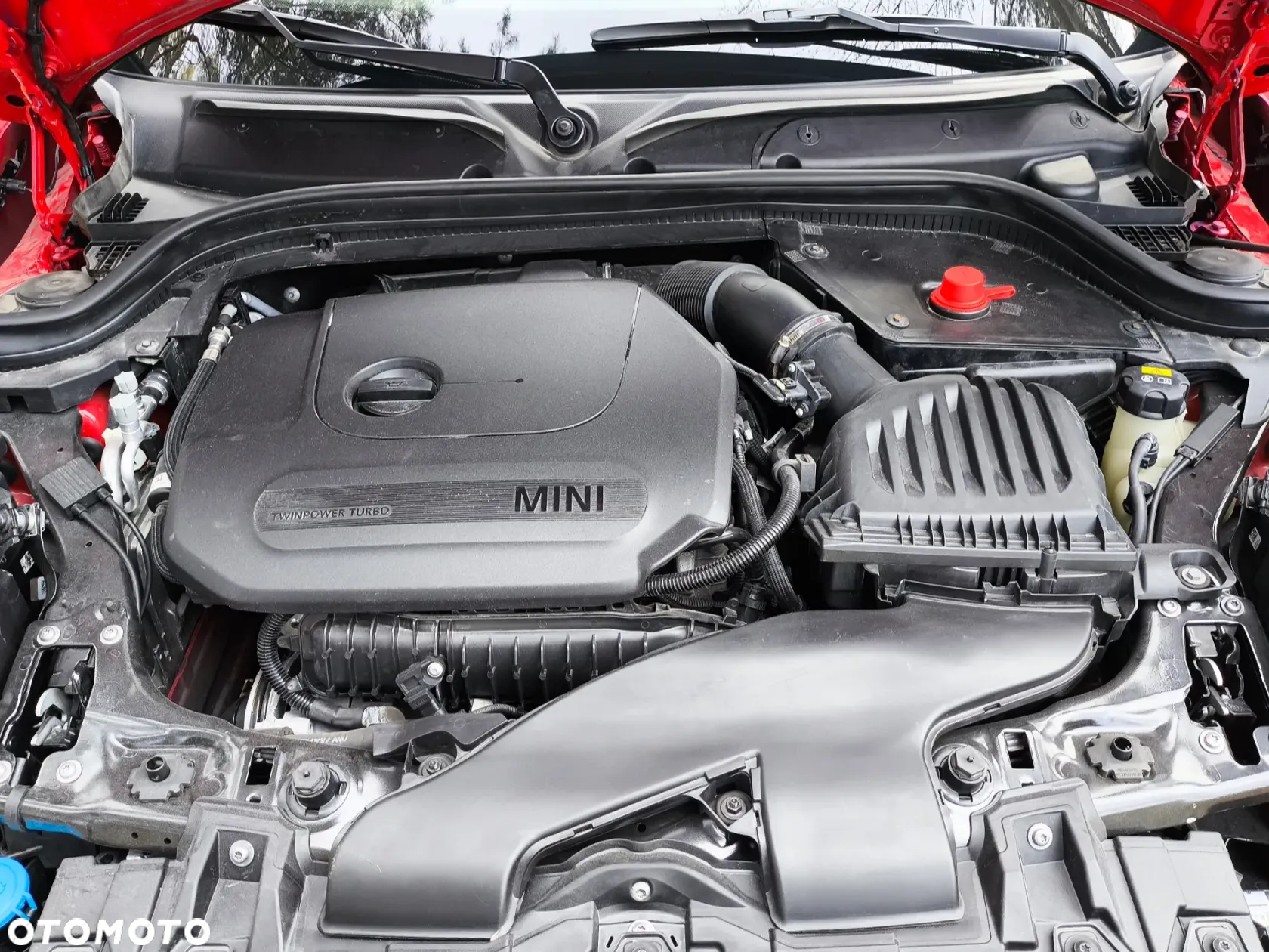 MINI ONE - 12