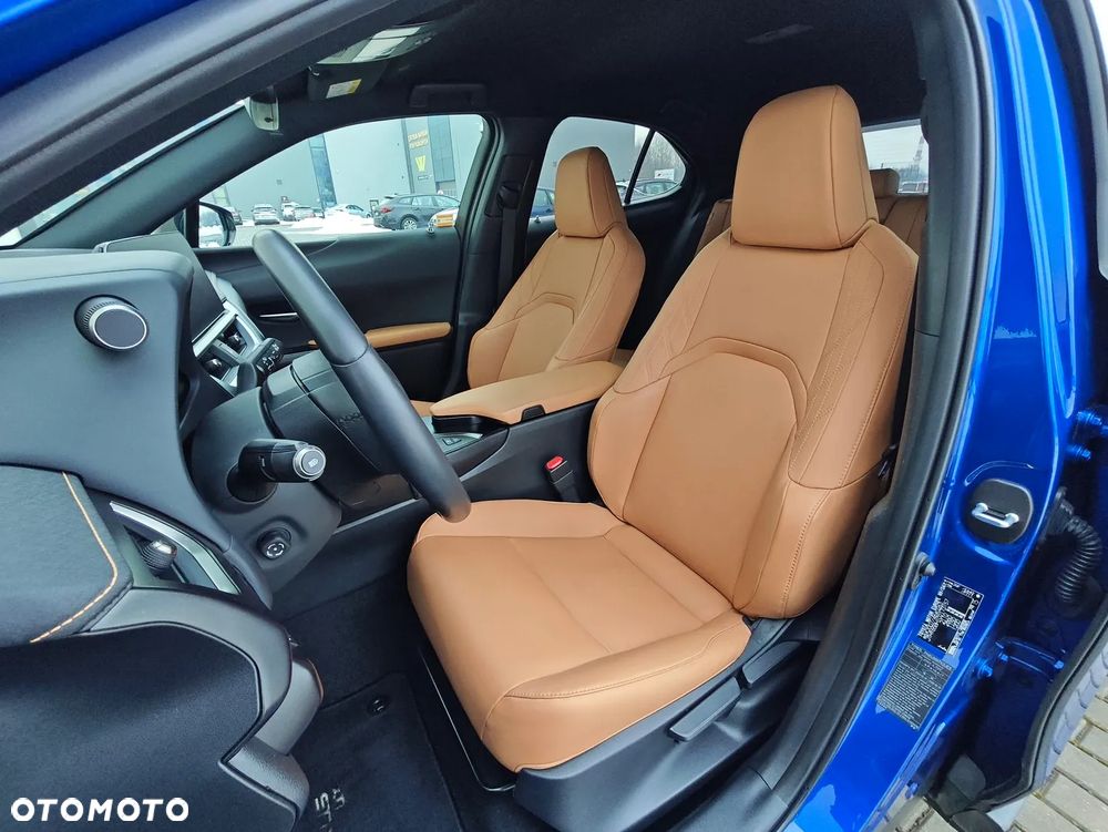 Lexus UX 250h GPF F Sport Design+ 2WD - 10